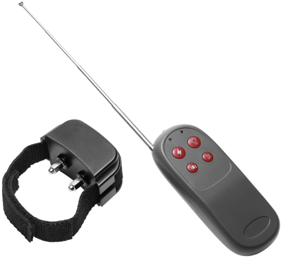 Cock Shock - Electro Stimulation Cockring with Remote Control